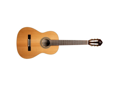 Ortega Traditional R20GWN