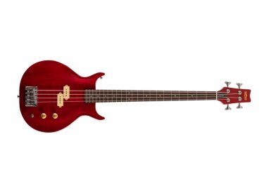 Washburn Scavenger Bass
