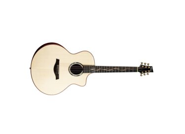 Fame Artist Pro Custom