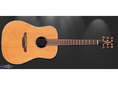 Takamine TAN10