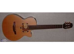 Takamine EN30C