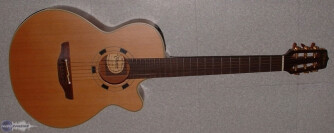 Takamine EN30C