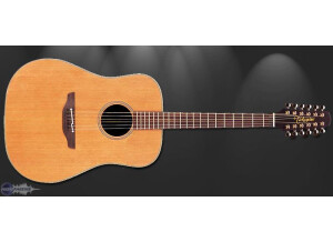 Takamine TAN1012