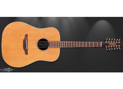 Takamine TAN1012
