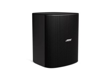 Bose Professional DesignMax DM12SE 12