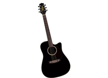 Takamine EG531SC
