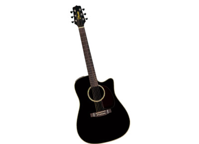 Takamine EG531SC