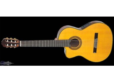 Takamine EG522CLH