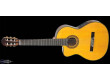 Takamine EG522CLH