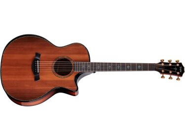 Taylor Next Generation Builder's Edition 914ce Honduran Rosewood