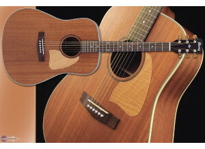Ibanez AW28