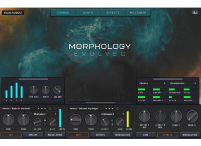 Zero-G Morphology Evolved
