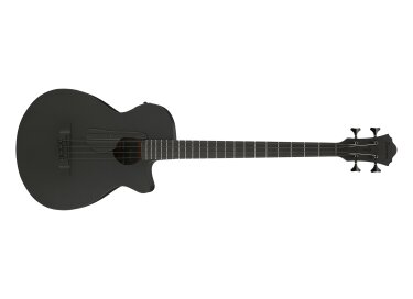 Ibanez AEGB420