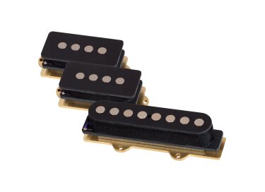 Schecter Michael Anthony Signature '78 Set