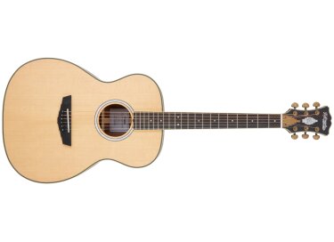 D'angelico Excel Josh Turner Tammany