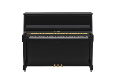 Yamaha B30