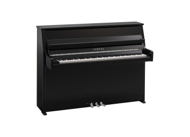 Yamaha B10