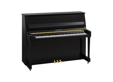 Yamaha B20