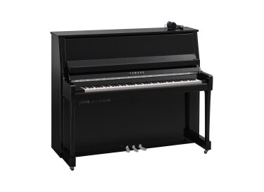 Yamaha B30 SC3