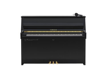 Yamaha B10 SC3