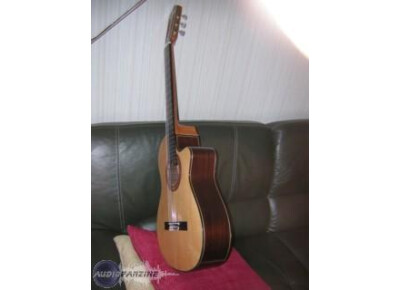 Alhambra Guitars 11 P CW