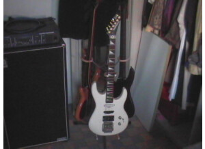 Washburn G-5V