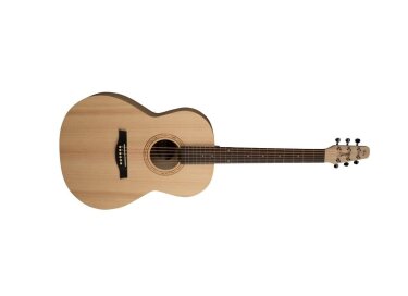 Seagull Excursion Folk Solid Spruce