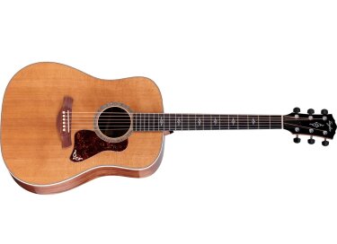 Taylor Gold Label 810e