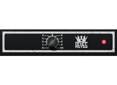 Reyes Amps Reyes 303