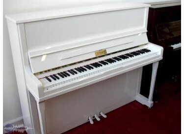 Blondel Sarabande 120