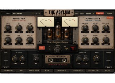The Asylum The Asylum Analogue