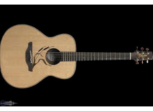 Takamine LTD2005