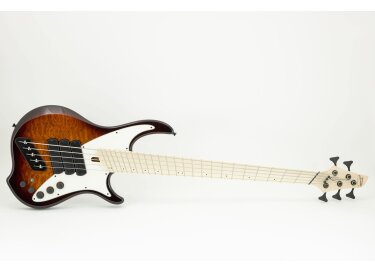 Dingwall Nashville Combustion 5-String