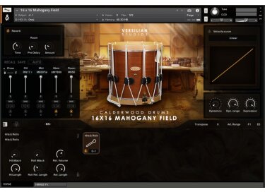 Versilian Studios Calderwood Drums