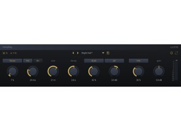 noizplay nyVERB
