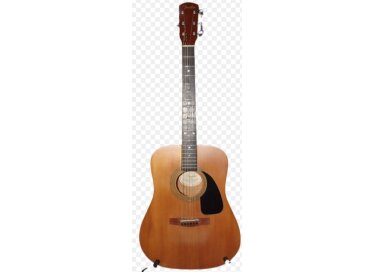 Fender DG 6