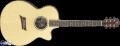 Michael Kelly Guitars Visionary 85CE