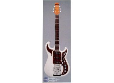 Burns Guitars legend