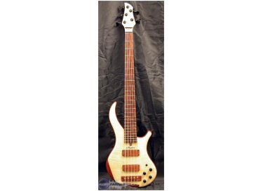 Noguera Expression Plus 5