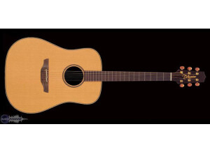 Takamine AN10