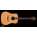 See the photo of the Takamine AN10 Takamine AN10