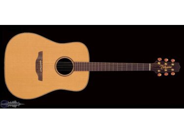 Takamine AN10