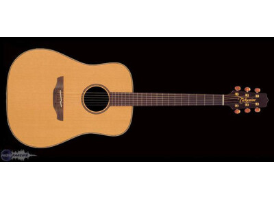 Takamine AN10