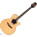 Takamine TSF48C