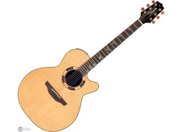 Takamine TSF48C