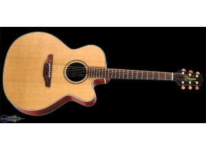 Takamine TAN20C