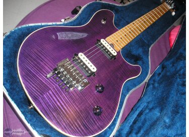 Peavey Wolgang Standard Signature