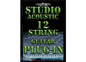 Audiowarrior Studio Acoustic 12-String Guitar