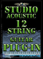 Studio Acoustic 12-String Guitar