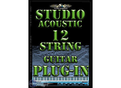 Audiowarrior Studio Acoustic 12-String Guitar
